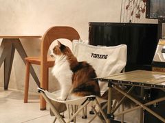 -玫瑰咖啡(中山六路店)