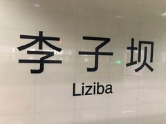 -李子坝梁山鸡(李子坝大鸡哥店)