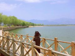 -野鸭湖国家湿地公园