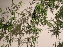 -六朝博物馆