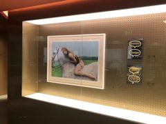 -TRACTION 运动中心(金融街店)