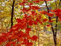 -岫岩药山风景区