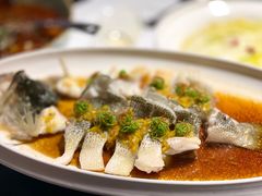 黄椒酱蒸鲈鱼-MD日越生辉铁板烧(海运堤店)