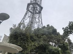 -湖南广播电视台娱乐频道