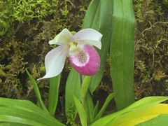 -国家植物园南园