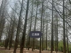 -花溪公园