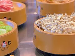 -龍歌自助小火锅(兰山上海路万达店)