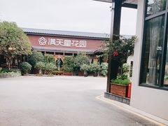 -满天星花园