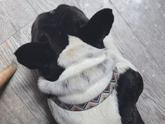 -小时光咖啡馆(北锣鼓巷店)
