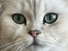 -佳雯宠物医院·皮肤科·内外科(春晓路分院)