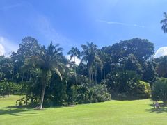 -新加坡植物园