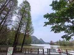 -星湖旅游景区七星岩