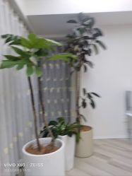 -HEYAN荷妍专业脱毛连锁机构