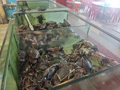 -大茄来海鲜餐厅(亚洲城分行)