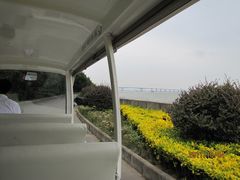 -大湾区中央湿地公园
