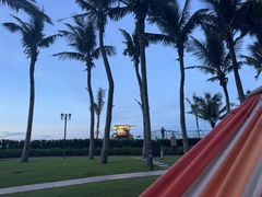 -海口鲁能希尔顿酒店-田园汇自助餐·三文鱼·海鲜