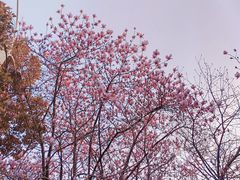 -艾溪湖湿地公园