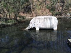 -紫霞湖公园