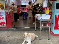 门面-易裕和·长沙米粉(友谊路店)