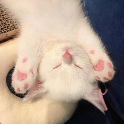 -HAO美皮肤管理·美甲美睫