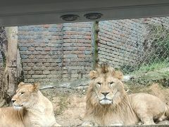 -乐和乐都主题乐园