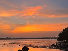 -宝安西湾红树林湿地公园