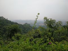 -火炉山森林公园