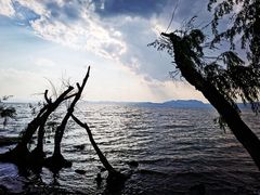 -捞渔河湿地公园