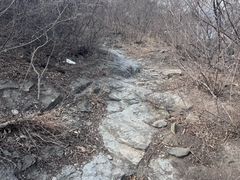 -红光山