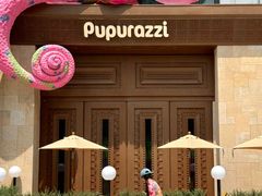 -帕帕拉兹宠物(亚洲旗舰店)