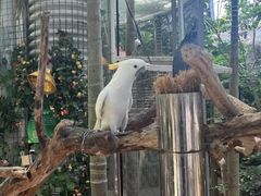 -木柴豆腐·活海鲜·鲁菜(岚山路店)