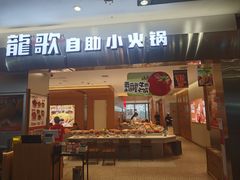 -龍歌自助小火锅(市南金茂湾店)