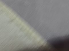 -洞庭家宴·头牌甲鱼(广渠门店)
