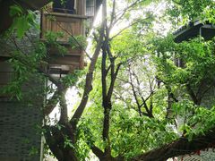 -重庆十八梯传统风貌区