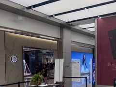 -大视光学•LINDBERG林德伯格•全球手工眼镜集合店(王府井店)