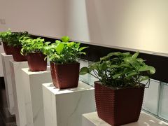 -泮金大塘(北二七路店)