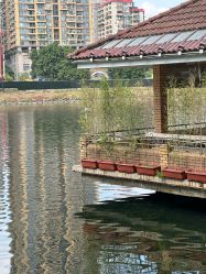 -小鲤鱼寻宝记·AR亲子户外剧本闯关(广州东山湖公园店)