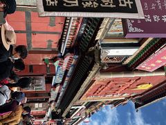 -古树酸奶(八廓南街店)