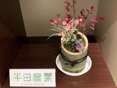 -中部国际机场
