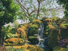 -Chom Cafe and Restaurant