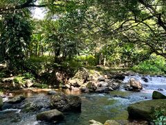 -广州市石门国家森林公园