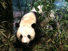 -陕西自然博物馆