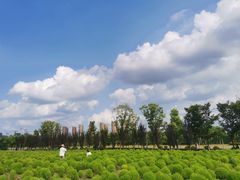 -映月湖中央公园