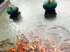 -千岛湖品鱼馆(钓鱼岛店)