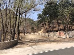 -大岭沟猕猴桃谷风景区
