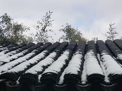 -水绘园