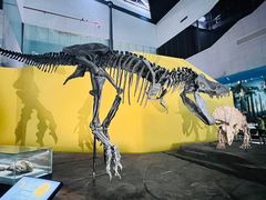 -湖南省地质博物馆