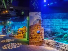 -沈阳海洋探索中心