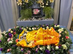 -彩虹桥宠物火化殡葬善终服务(金乐大厦店)