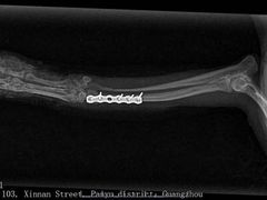 -爱诺耐芙动物医院(万博店)